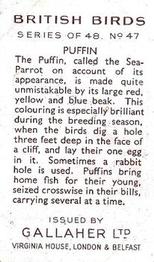 1937 Gallaher British Birds #47 Puffin Back