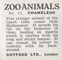 1955 Dryfood Zoo Animals #17 Chameleon Back