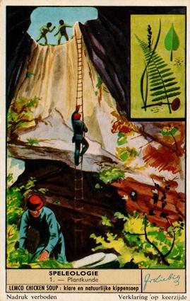 1956 Liebig Speleologie (Caving) (Dutch Text) (F1655, S1656) #1 Plantkunde Front
