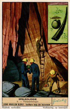 1956 Liebig Speleologie (Caving) (Dutch Text) (F1655, S1656) #6 Palaeontologie Front