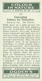 1932 Ogden's Colour In Nature #10 Gazelle Back