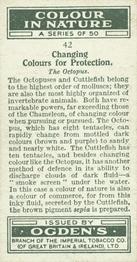 1932 Ogden's Colour In Nature #42 Octopus Back