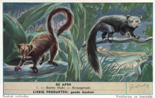 1954 Liebig De Apen (Monkeys) (Dutch Text) (F1601, S1604) #1 Bonte Maki - Knaagmaki Front