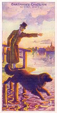 1907 Gartmann Der Hund im Dienste des Menschen (Dogs in the Service of Man) Serie 187 #2 Neufundlander Front