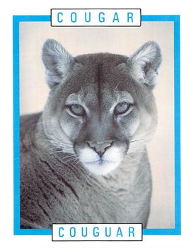 1990 Kellogg's Canadian Wildlife Federation #NNO Cougar Front