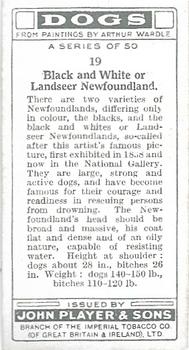 1931 Player's Dogs (A. Wardle Paintings) #19 Newfoundland Back
