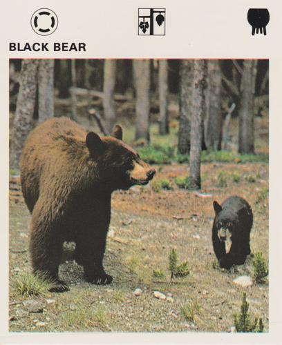 1975-80 Leisure Books Wildlife Treasury #6103-07 Black Bear Front
