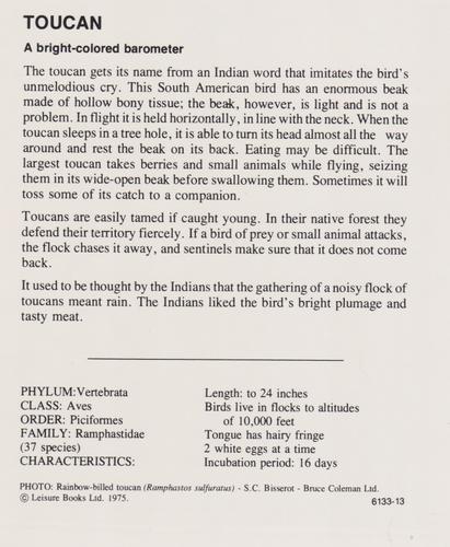 1975-80 Leisure Books Wildlife Treasury #6133-13 Toucan Back