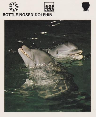 1975-80 Leisure Books Wildlife Treasury #7181-10 Bottle-Nosed Dolphin Front