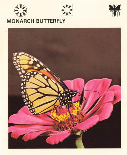 1975-80 Leisure Books Wildlife Treasury #7184-05 Monarch Butterfly Front