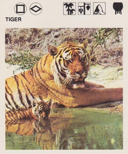 1975-80 Leisure Books Wildlife Treasury #SC/D29-1 Tiger Front
