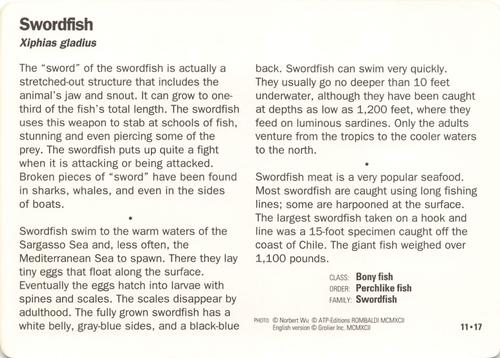 1991-95 Grolier Wildlife Adventure Cards #11.17 Swordfish Back