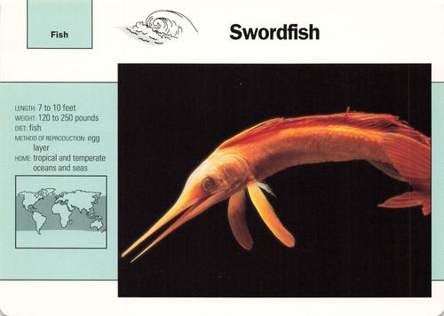 1991-95 Grolier Wildlife Adventure Cards #11.17 Swordfish Front