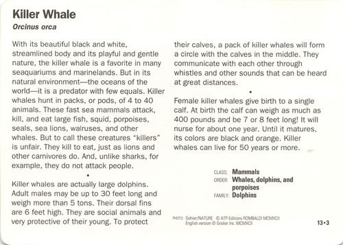 1991-95 Grolier Wildlife Adventure Cards #13.3 Killer Whale Back