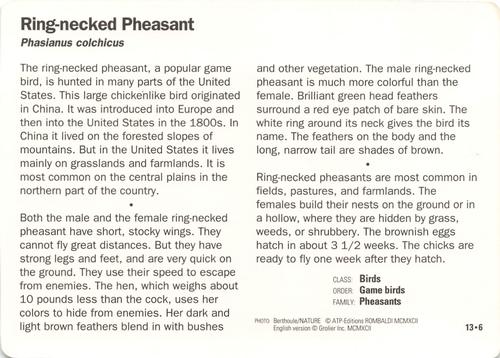 1991-95 Grolier Wildlife Adventure Cards #13.6 Ring-necked Pheasant Back