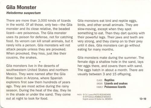 1991-95 Grolier Wildlife Adventure Cards #13.10 Gila Monster Back