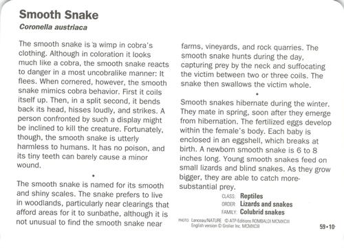 1991-95 Grolier Wildlife Adventure Cards #59.10 Smooth Snake Back