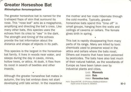 1991-95 Grolier Wildlife Adventure Cards #92.3 Greater Horseshoe Bat Back
