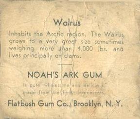 1933 Flatbush Gum Noah's Ark (R100) #NNO Walrus Back