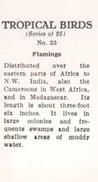 1960 Tropical Birds #25 Flamingo Back