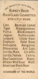 1890 Kinney Bros. Animals (N216) #NNO Male Gorilla Back