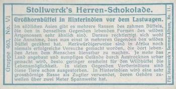 1910 Stollwerck Album 11 Gruppe 463 #5 Grobhornbüffel Back