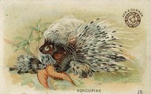 1898 Dwight's Soda Interesting Animals (J10) - Arm & Hammer Interesting Animals #28 Porcupine Front