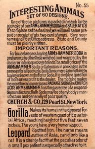1898 Dwight's Soda Interesting Animals (J10) - Arm & Hammer Interesting Animals #55 Gorilla and Leopard Back