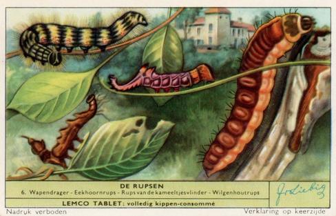 1956 Liebig De Rupsen (Caterpillars) (Dutch Text) (F1637, S1639) #6 Wapendrager - Eekhoornrups - Rups van de kameeltjesvlinder - Wilgenhoutrups Front