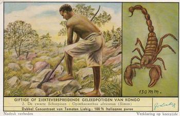 1956 Liebig Giftige of ziekteverspreidende geleedpotigen van Kongo (Harmful Insects of the Congo) (Dutch Text) (F1635, S1637) #2 De zwarte Schorpioen : Oposthacanthus africanus (Simon) Front