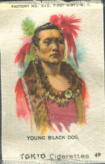 1910 American Tobacco Indian Chiefs Silks (S67) #49 Young Black Dog Front