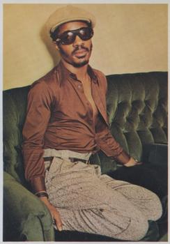 1974 Panini Top Sellers Picture Pop Stickers #8 Stevie Wonder Front