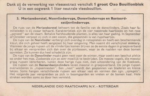 1956 Liebig Rupsen (Caterpillars) (Dutch Text) (F1637, S1639) #3 Meriansborstel, Nonvlinderrups, Donsvlinderrups en Bastaardsatijnvlinderrups Back
