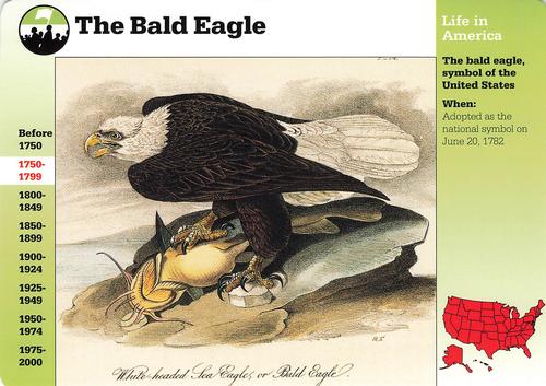 1994-01 Grolier Story of America Cards #52.10 The Bald Eagle Front