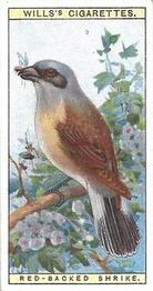 1915 Wills's British Birds #22 Red-Backed Shrike Front