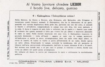 1956 Liebig Gli Insettivori (Insect Eaters) (Italian Text) (F1645, S1645) #6 Galeopiteco Back