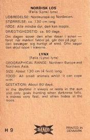 1969 Dandy Gum H Wild Animals (A) (Danish/English) #9 Lynx Back