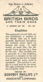 1936 Godfrey Phillips British Birds and Their Eggs #34 Kingfisher Back