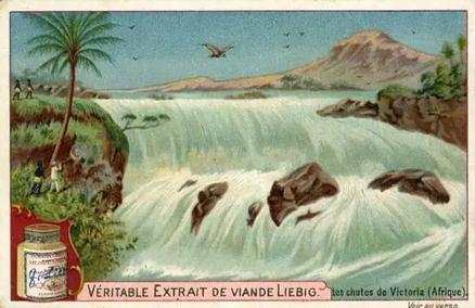 1899 Liebig Waterfalls (French Text)(F584, S583) #NNO Victoria Front