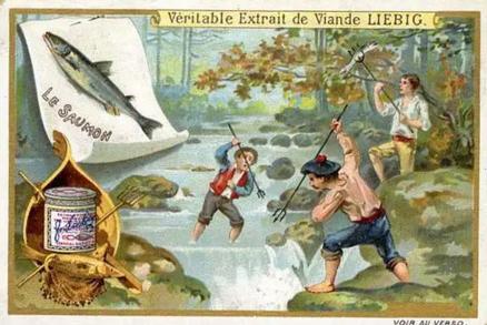 1899 Liebig Fishing II (French Text)(F600, S599) #NNO Salmon Front