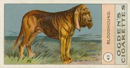 1904 Ogden's Fowls, Pigeons & Dogs #42 Bloodhound Front