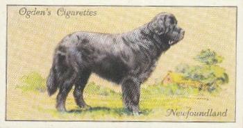 1936 Ogden's Dogs #17 Newfoundland Front