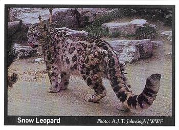 1995 Weet-Bix Threatened Wildlife #1 Snow Leopard Front