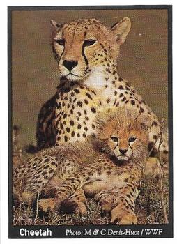 1995 Weet-Bix Threatened Wildlife #3 Cheetah Front