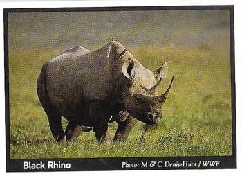 1995 Weet-Bix Threatened Wildlife #5 Black Rhino Front