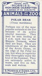 1924 Morris's Animals at the Zoo #12 Polar Bear Back
