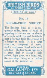 1923 Gallaher British Birds #16 Red-Backed Shrike Back