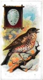 1912 Fry's Birds & Their Eggs #7 The Thrush Front