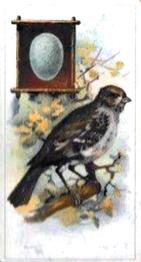 1912 Fry's Birds & Their Eggs #11 The Hedge-Sparrow Front