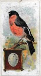 1912 Fry's Birds & Their Eggs #15 The Bullfinch Front
